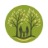 austinchiropractical.com