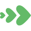 carelonhealth.com