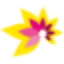 clos-fleuri.ch