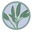 coloradoaromatics.com