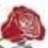 francesflowershop.com