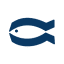 infish.com.pl