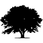 loneelder.com