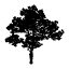 mmhs.org