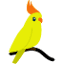 parrotsecrets.com