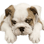 qtdebug.com