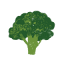 rainbowplantlife.com