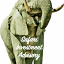 safariinvestmentadvisory.co.za