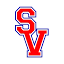 swimvilleusa.com