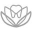 wholehealthdentistryaz.com
