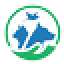 bluecross.org.in