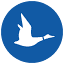 blueduckscooters.com