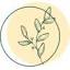 blumen-laden.com