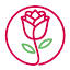 blumenlaedchen.info