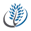 overview2020.com