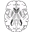 talairach.org