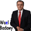waelbadawy.com