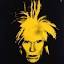 warhol.org
