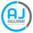 ajaguiar.com
