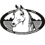 araberhest.no