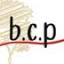 bourgognecreationpaysage.com