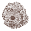 doodlepuppies.ca