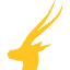 gazellegroup.com
