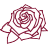 kordes-rosen.com