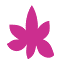 maikomichelle.com
