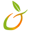 mango.co.za