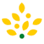 morrisons.jobs