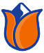 nlandes.com
