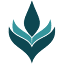pilonidal.org