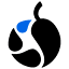 pinovacapital.com