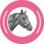 revistapalermo.com.ar