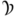 vyonyx.com