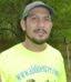 aldinetreeservices.com