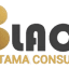 blackinvestamaconsultant.com