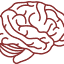 brainonboard.ca