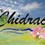 chidrac.fr
