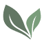 ecogirlshop.com