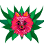 mezcalchuyita.com