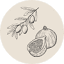 olivefigco.com