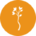 ortop.com.pl