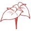 aliiflowers.com