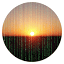 digitalfuturechanges.com