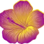 kailanikai***.com