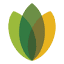 medrehabgroup.com