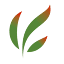 patodiagroups.com