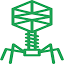 phage.com